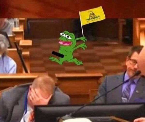 Not guilty Pepe.jpg